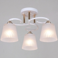 Потолочный светильник Reluce 06360-0.3-03 WH+FG