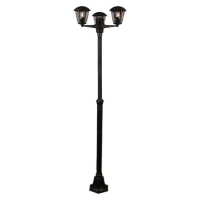 Парковый светильник Reluce 08304-0.7-001SJ 2.0m BKG