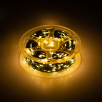 Светодиодная гирлянда Эра ENIN-1000G Б0060427 ЭРА