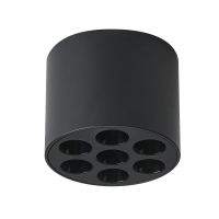 Потолочный светильник Lightstar Guarda 080647