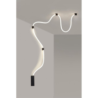 Настенно-потолочный светильник Aployt Sindrillon APL.773.02.78