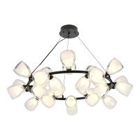 Подвесная люстра Lussole Inglewood LSP-6065