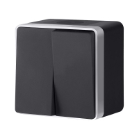 Выключатель двухклавишный влагозащищенный Werkel Gallant (черный с серебром) W5020234 4690389164279 a051154