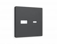 Лицевая панель для розетки 2USB тип A+C Ambrella Volt Alfa AP9110