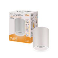 Накладной светильник Gauss HD HD030 GAUSS