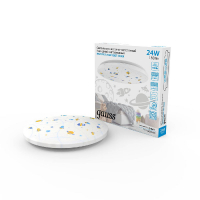 Потолочный светильник Gauss 941411224R GAUSS