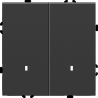 Выключатель двухклавишный c индикатором Stekker RSW10-5102-05 Эмили 49838