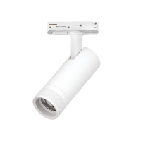 Трековый светильник для однофазного/трехфазного шинопровода Barra 20-55G с тонким адаптером Lightstar Canno Pro C4126SS