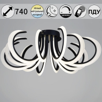 Потолочная люстра Reluce 74390-0.3-6+6 black