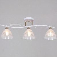 Потолочный светильник Reluce 73460-0.3-03 WH+FG