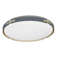 Потолочный светильник Lumina Deco Paneli LDC 8063-48W BL