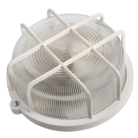 Настенно-потолочный светильник General НПП 03-100-005.04 437849