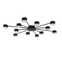 Потолочная люстра Lumion Comfi Torina 8344/12C