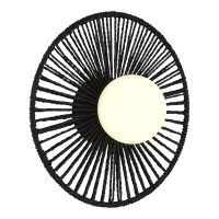 Настенный светильник Evoluce Loom SLE6022-401-01