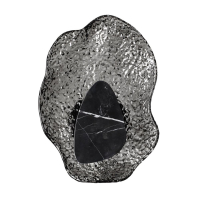 Настенный светильник Odeon Light L-Vision Coralla 5461/12WL