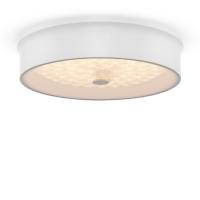 Потолочный светильник Freya Cells FR10011CL-L24W