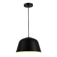 Подвесной светильник Evoluce Blank SLE1805-403-01