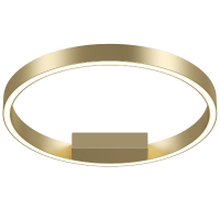 Потолочный светильник Maytoni Rim MOD058CL-L25BSK