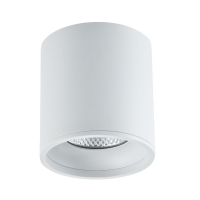 Накладной светильник ST Luce ST165.532.12