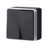 Выключатель двухклавишный Werkel Gallant (черный с серебром) W5020034 4690389164156 a050889