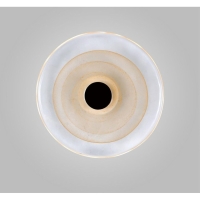 Настенный светильник Aployt Stusia APL.350.01.03