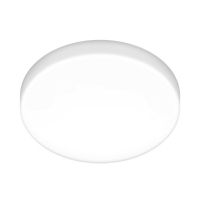 Потолочный светильник Elektrostandard DLR043 10W 4200K a047940 4690389149283