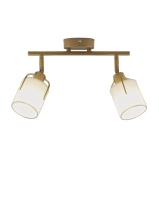 Спот Moderli Inari V11854-2C