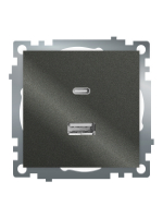 Розетка 2-местная USB + type C Stekker Катрин GLS10-7116-06 50052