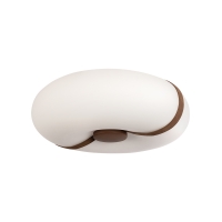 Потолочный светильник LOFT IT Bolina 10473