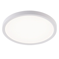 Потолочный светильник Natali Kovaltseva Plain LED LAMPS 81113/2C