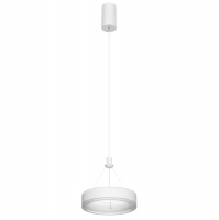 Подвесной светильник Citilux Дуэт CL719010