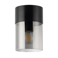 Потолочный светильник General Эйлайт GWL-E27-M-IP20 662859