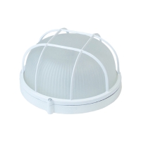 Накладной светильник Feron НБП 03-60-002 53176