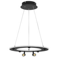 Подвесная люстра Lightstar Dive 740447