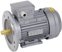 Электродвигатель трехфазный АИР 71B4 380В 0.75кВт 1500 об/мин 2081 DRIVE ONI DRV071-B4-000-7-1520