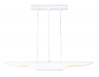 Подвесной светильник Ambrella Light Techno spot TN5155