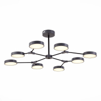 Потолочный светильник Evoluce Monta SLE6003-702-08