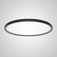 Потолочный светильник ImperiumLoft Extraslim 212746-26