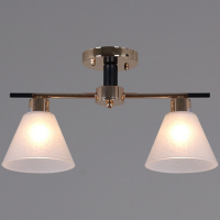 Потолочный светильник Reluce 09112-3.3-02 FG+BK