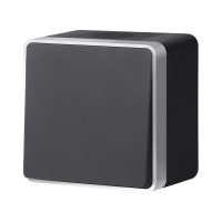 Выключатель одноклавишный влагозащищенный Werkel Gallant (черный с серебром) W5010234 4690389164033 a051162