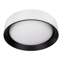 Потолочный светильник Loft IT Coin 10202 WB