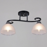 Потолочный светильник Reluce 66360-0.3-02 BK+CR