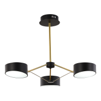 Потолочный светильник Evoluce Valle SLE6005-402-03