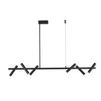 Подвесная люстра Aployt Honor APL.067.03.30