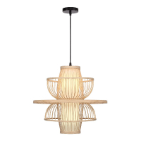 Подвесной светильник ST Luce Alma SL6241.513.01