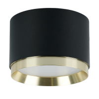 Потолочный светильник Feron Barrel DUET HL459 52021