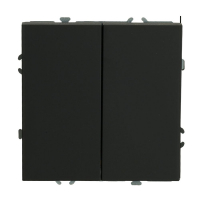 Переключатель 2-клавишный перекрестный Stekker Эмили RSW10-5111-05 50167