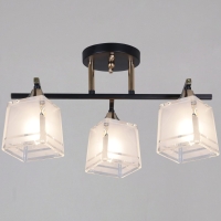 Потолочный светильник Reluce 46460-0.3-03 BK+FG