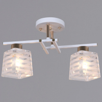 Потолочный светильник Reluce 09260-0.3-02 WH+FG