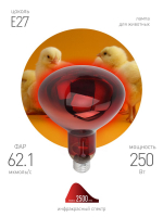 Инфракрасная лампа для обогрева животных и освещения Эра ИКЗК 220-250 R127 Б0055442 ЭРА